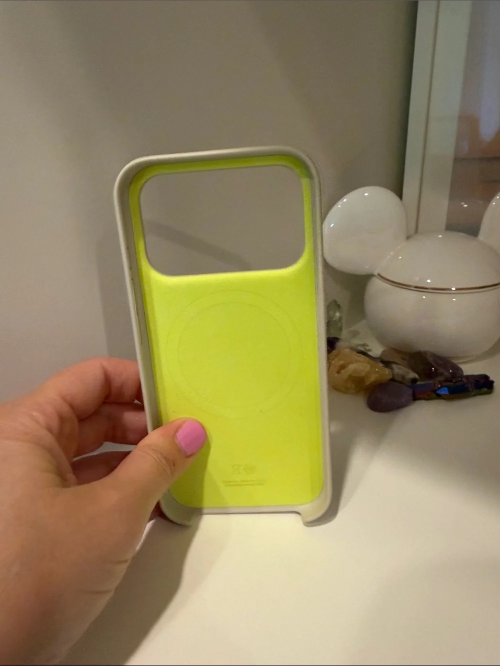 Bears iPhone 17 pro case